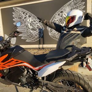 Meet your Posher, Dusty